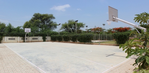 Basketball court